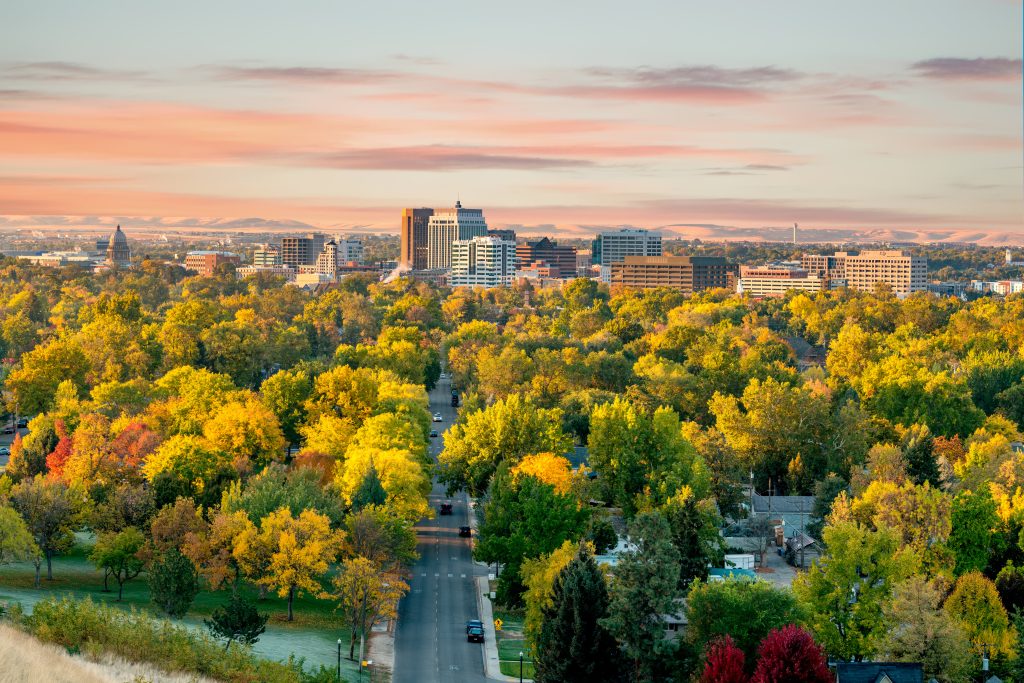 Hillside view of Boise streets lined with abundant green trees.